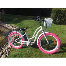 48V 500/750/1000W Popular Fat Tyre Electric Bike for Ladies